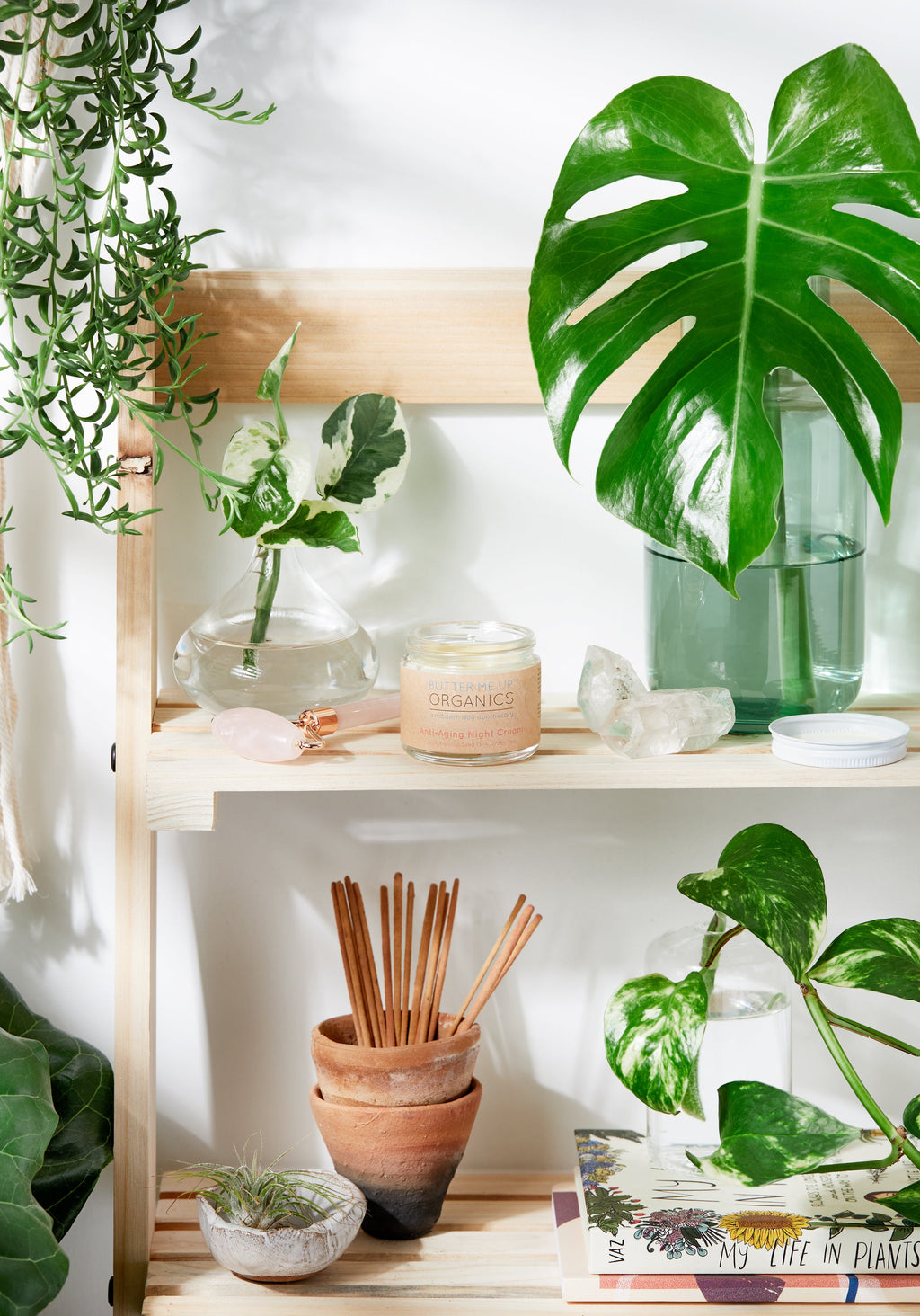 Crema de Noche Antiedad con Té Verde Orgánico – Hidratación y Regeneración