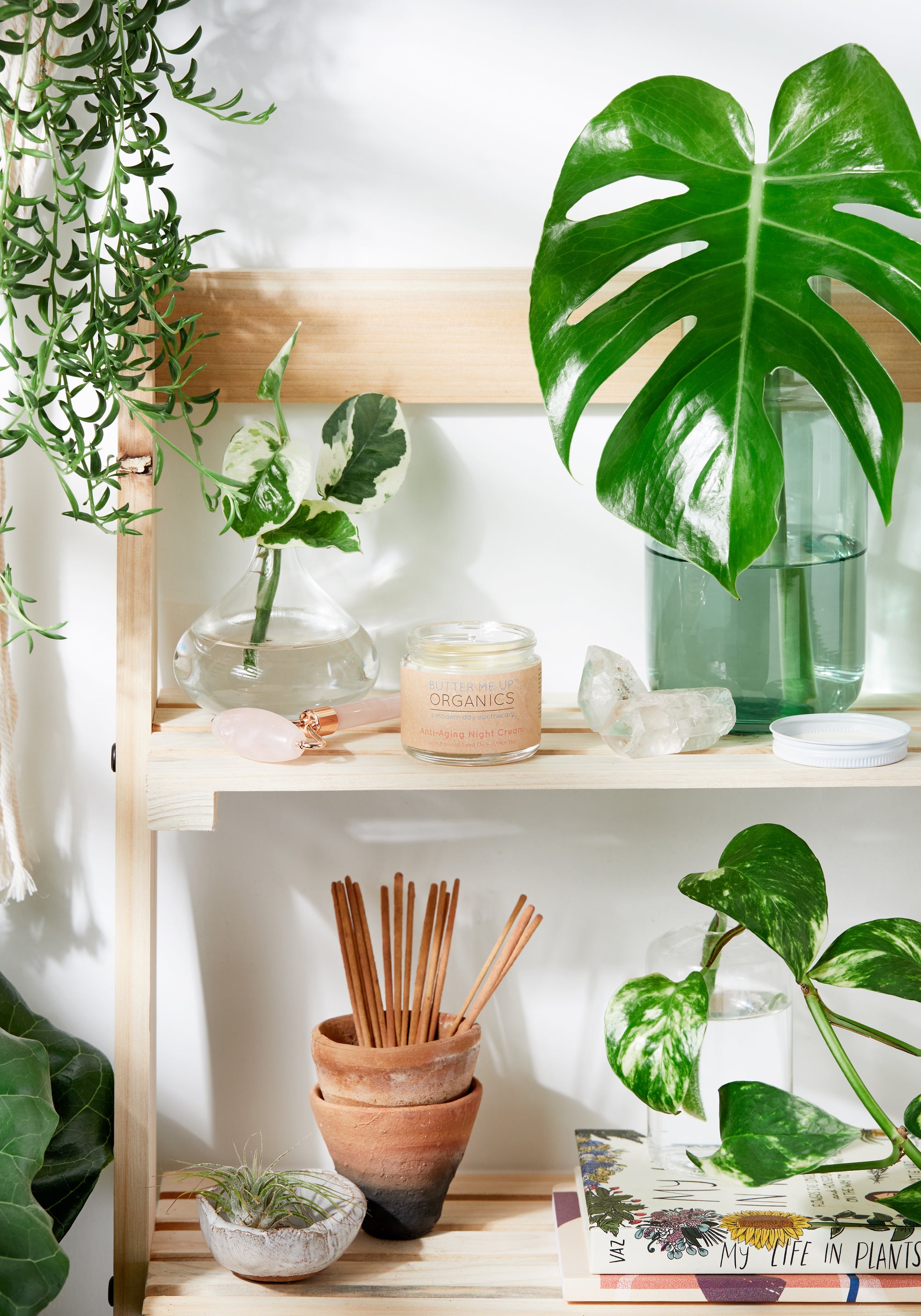 Crema de Noche Antiedad con Té Verde Orgánico – Hidratación y Regeneración