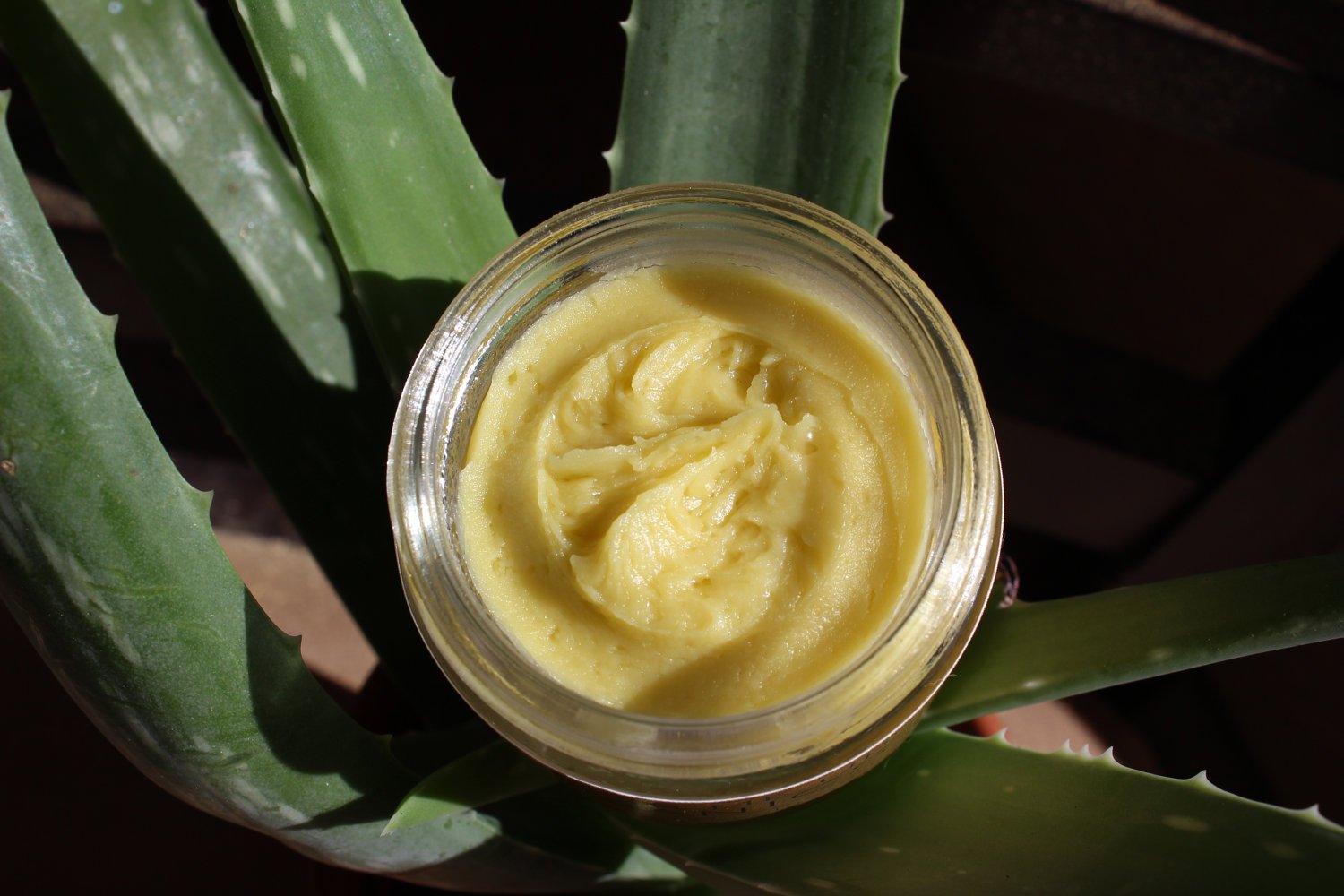 Crema de Noche Antiedad con Té Verde Orgánico – Hidratación y Regeneración
