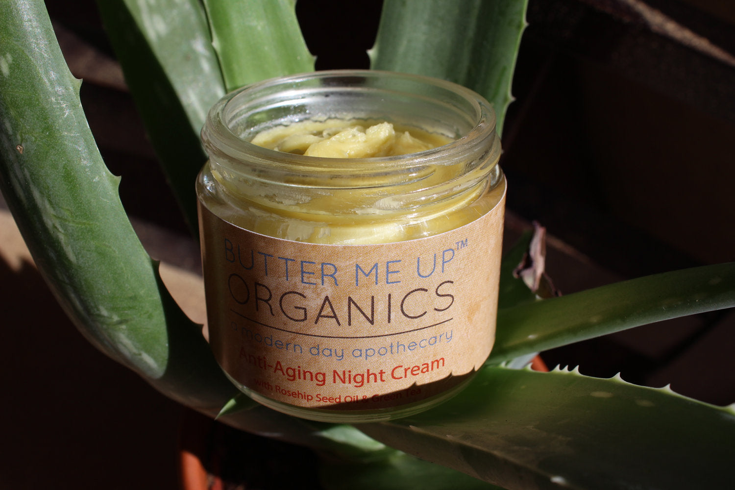 Crema de Noche Antiedad con Té Verde Orgánico – Hidratación y Regeneración